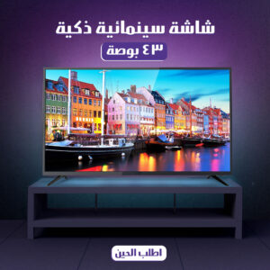 شاشة Dansat ٤٣ بوصة سمارت أندرويد 14 - FHD