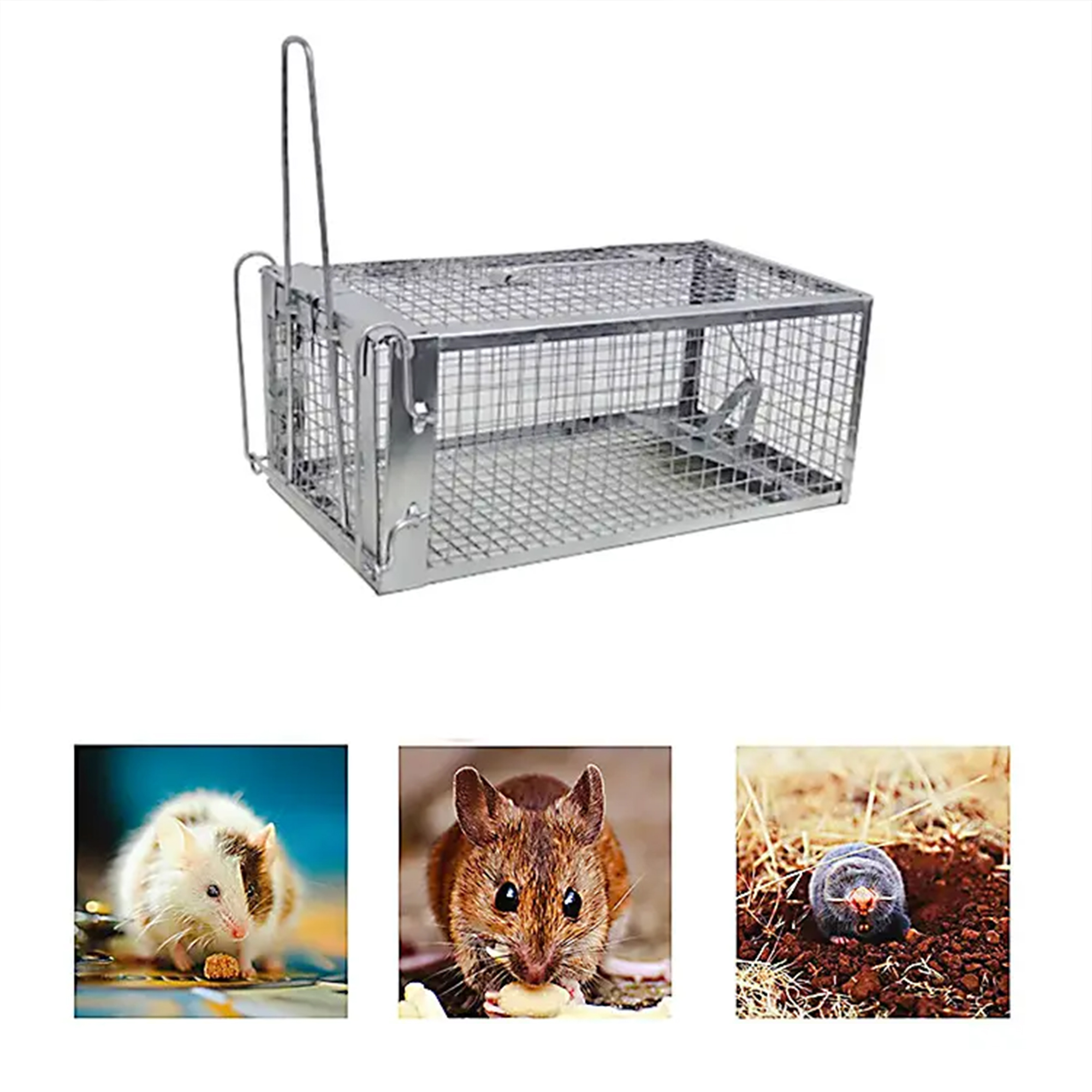 • مصيدة الفئران سهلة الاستخدام - الصورة 2